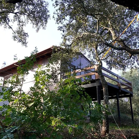 La Casa De Madera Chalet La Puebla de los Infantes